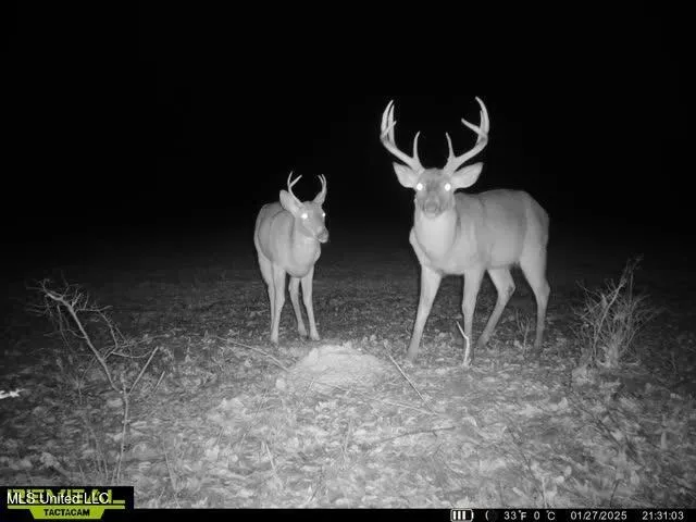 Newport Road Lexington, MS 39095