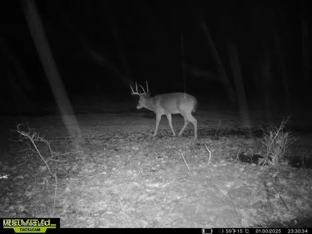 Newport Road Lexington, MS 39095