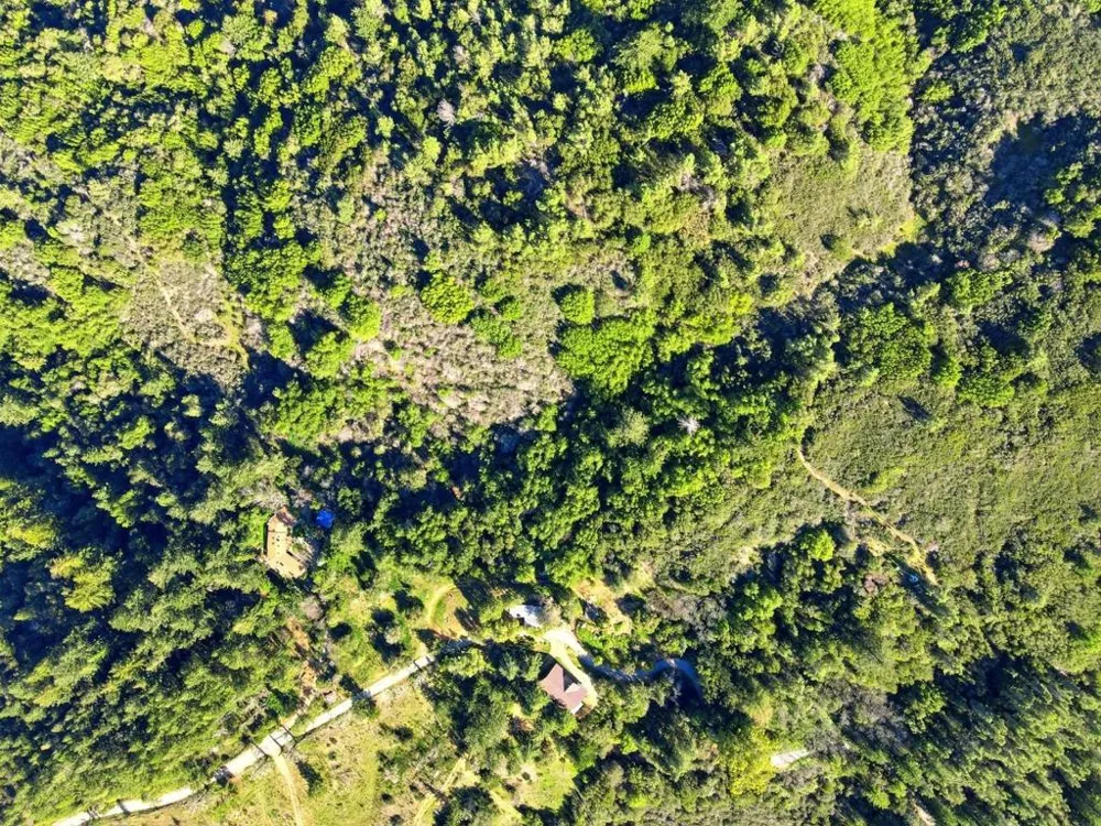 24733 Loma Prieta Avenue Los Gatos, CA 95033