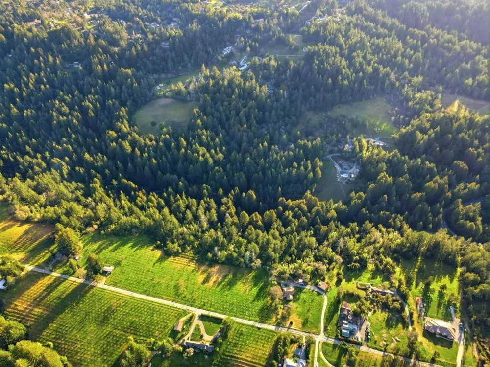 24580 Loma Prieta Avenue Los Gatos, CA 95033