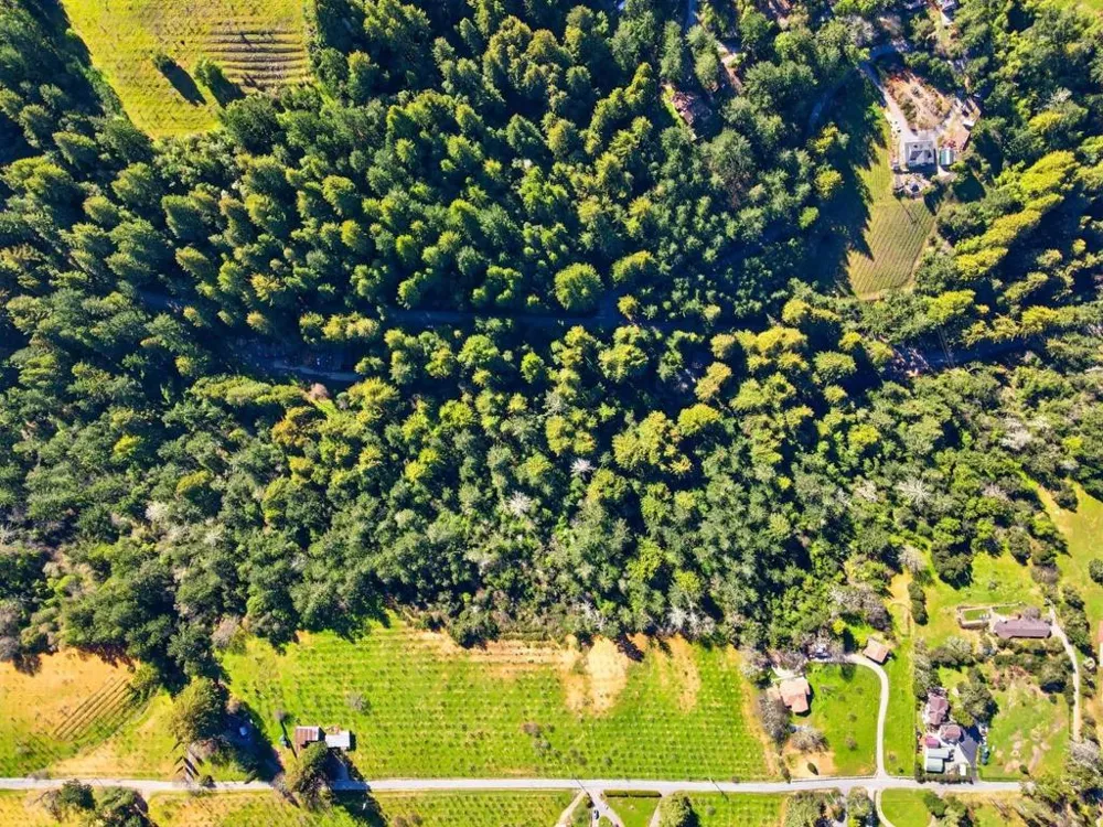 24580 Loma Prieta Avenue Los Gatos, CA 95033