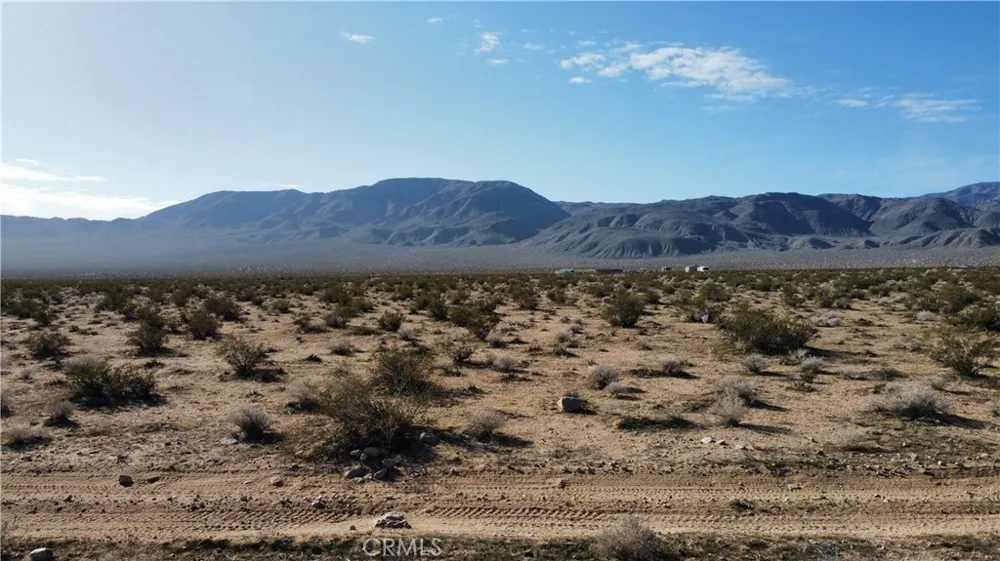 43 Old Woman Springs Road Johnson Valley, CA 92356