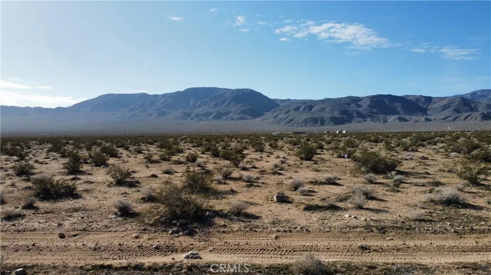 16 Old Woman Springs Road Johnson Valley, CA 92356