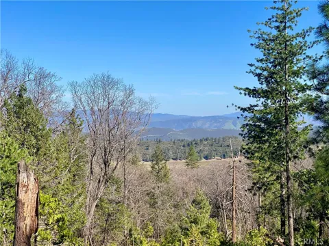 10130 Seigler Springs North