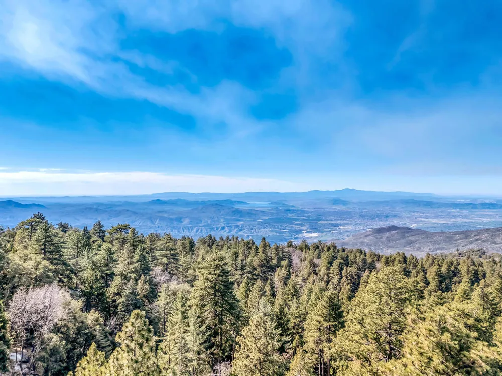 52365 Pine Ridge Road Idyllwild, CA 92549