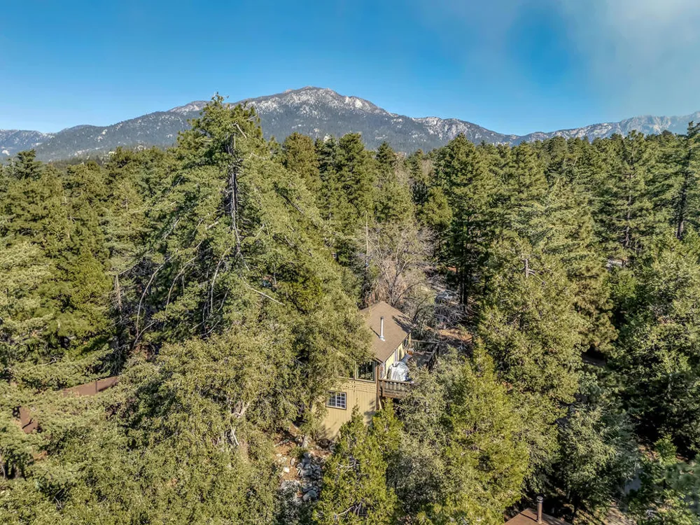 52365 Pine Ridge Road Idyllwild, CA 92549