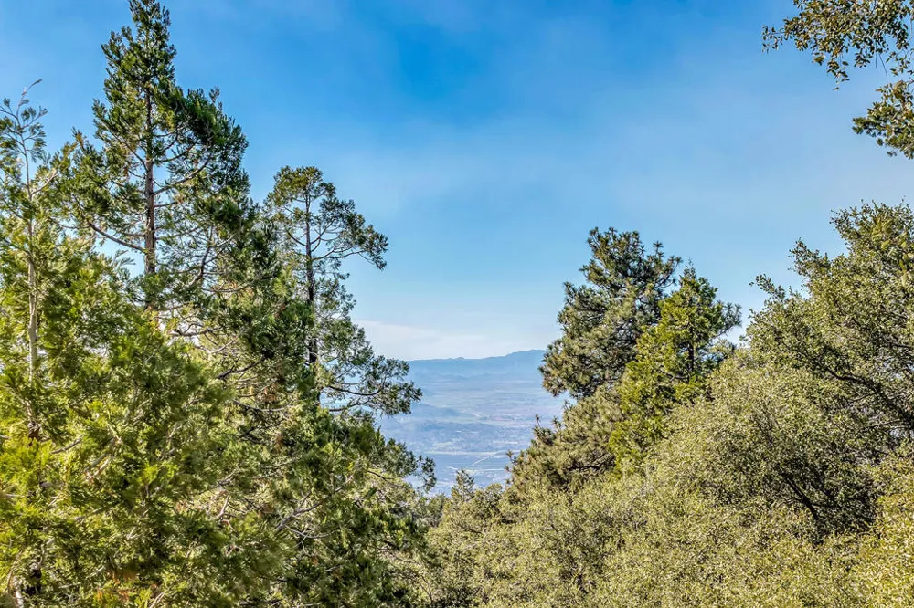 52365 Pine Ridge Road Idyllwild, CA 92549