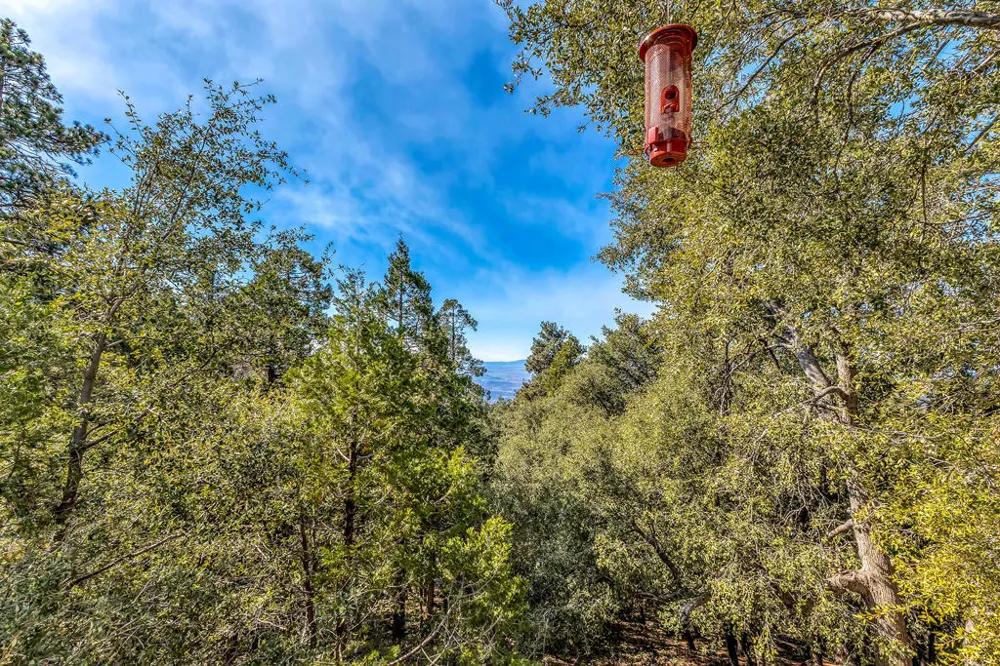 52365 Pine Ridge Road Idyllwild, CA 92549