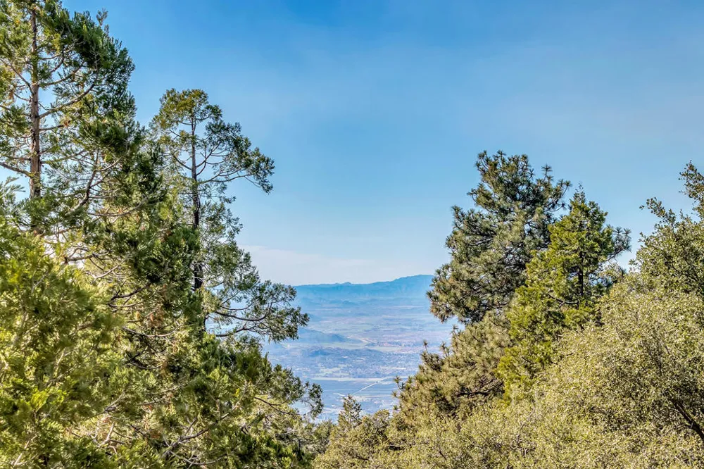 52365 Pine Ridge Road Idyllwild, CA 92549