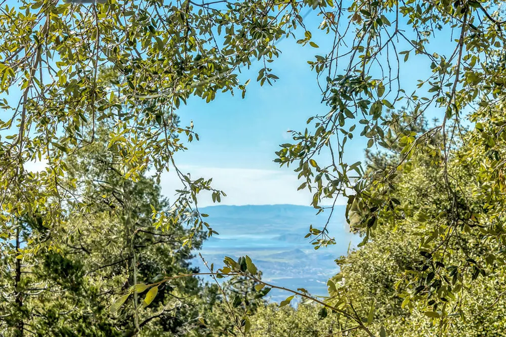 52365 Pine Ridge Road Idyllwild, CA 92549