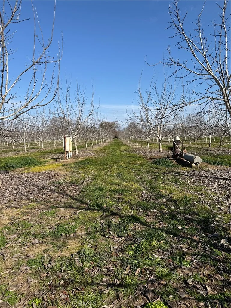 Mcfadden Lane Chico, CA 95928