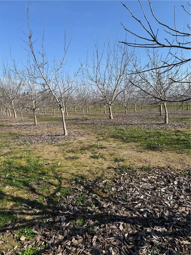 Mcfadden Lane Chico, CA 95928