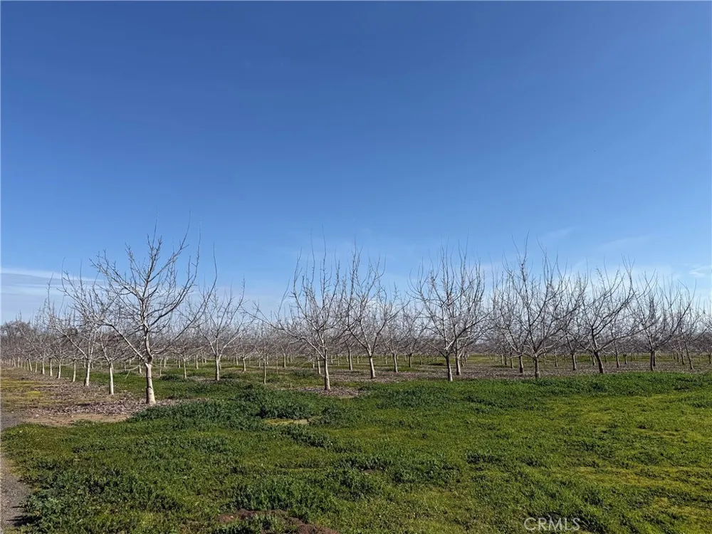 Mcfadden Lane Chico, CA 95928