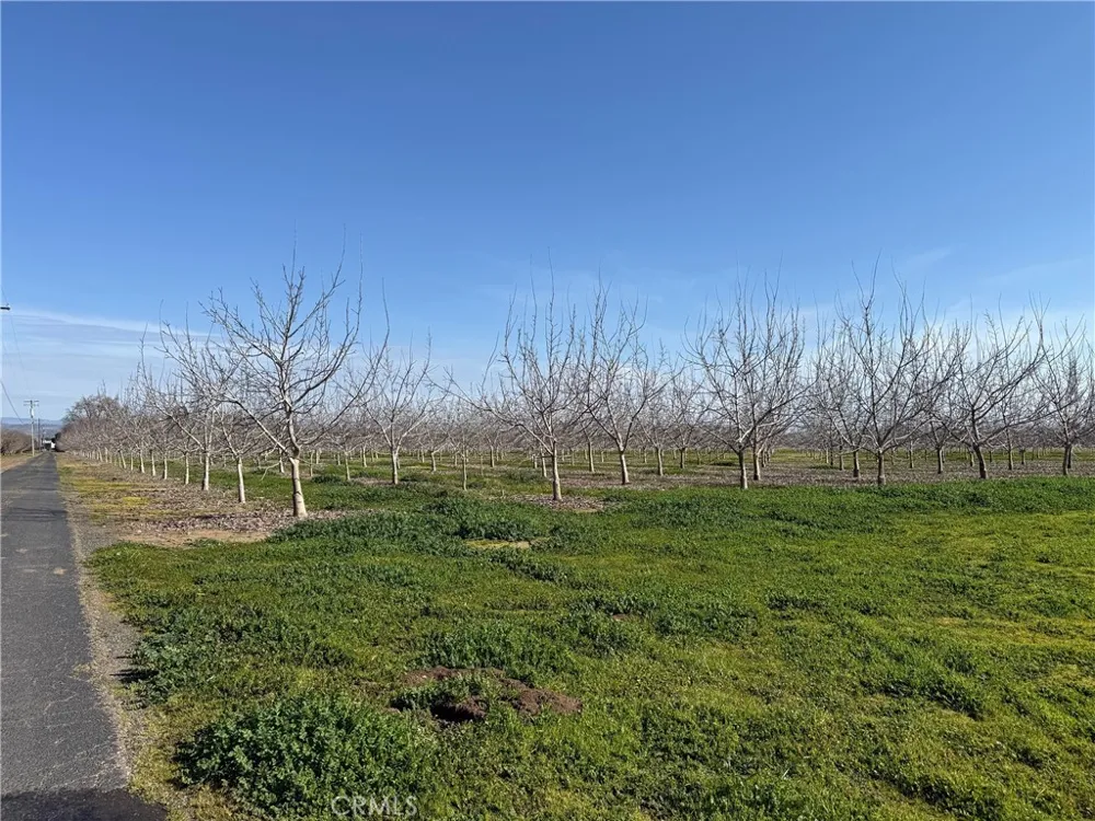 Mcfadden Lane Chico, CA 95928