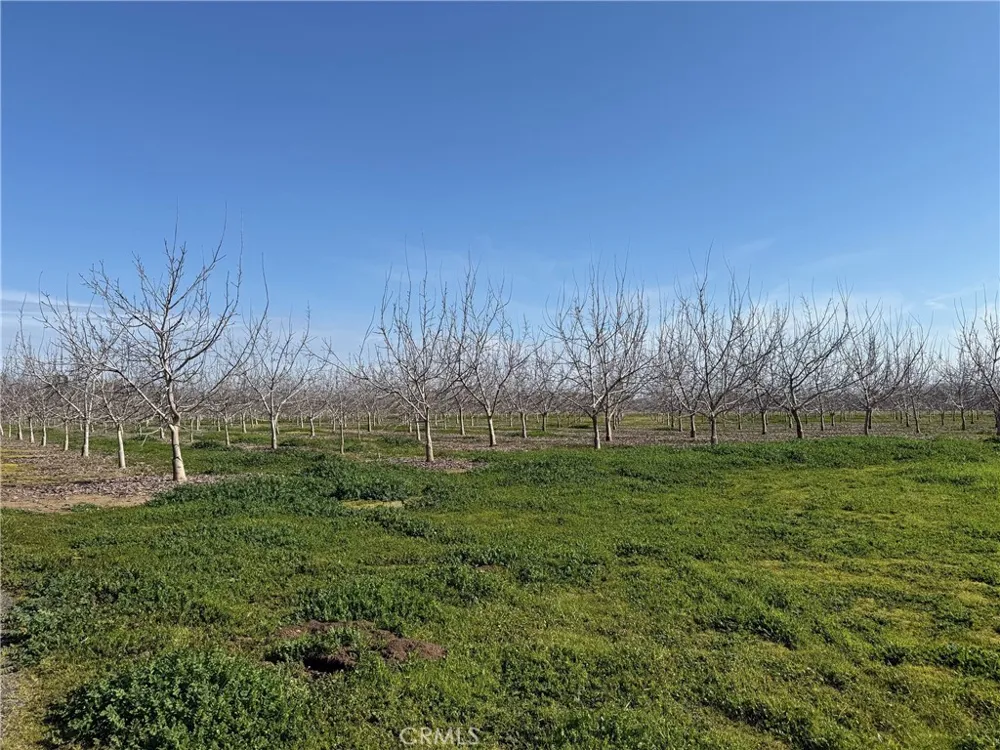 Mcfadden Lane Chico, CA 95928