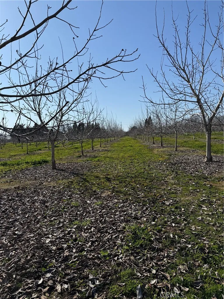 Mcfadden Lane Chico, CA 95928