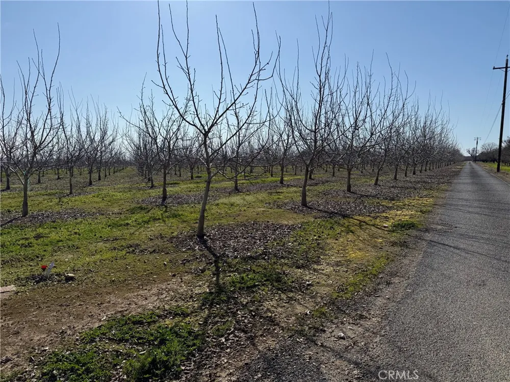 Mcfadden Lane Chico, CA 95928