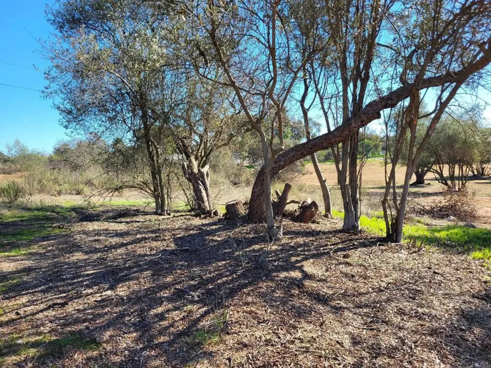 616 Alpine Heights-20acres Alpine, CA 91901