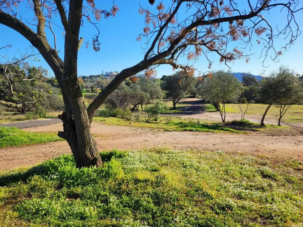 616 Alpine Heights-20acres Alpine, CA 91901