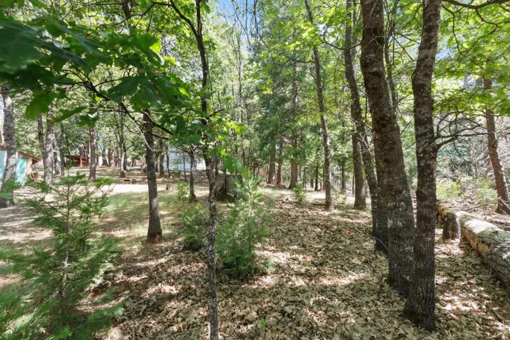 17256 Mount Elizabeth Drive Sonora, CA 95370
