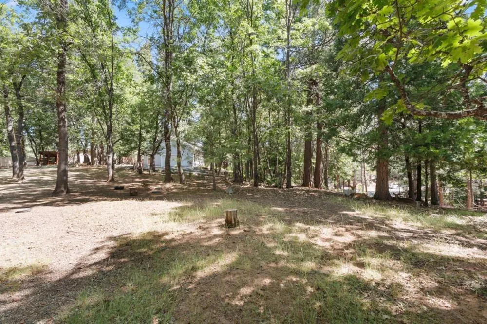 17256 Mount Elizabeth Drive Sonora, CA 95370