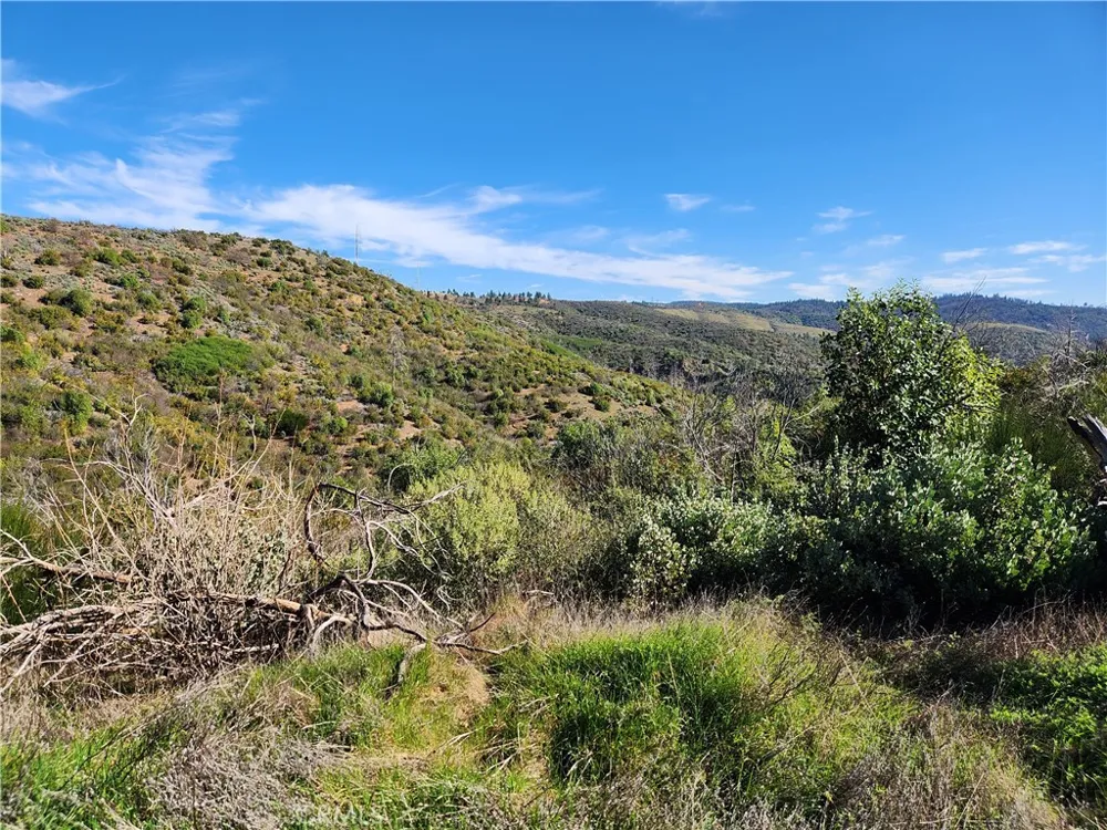 11200 Chalair Drive Oroville, CA 95965
