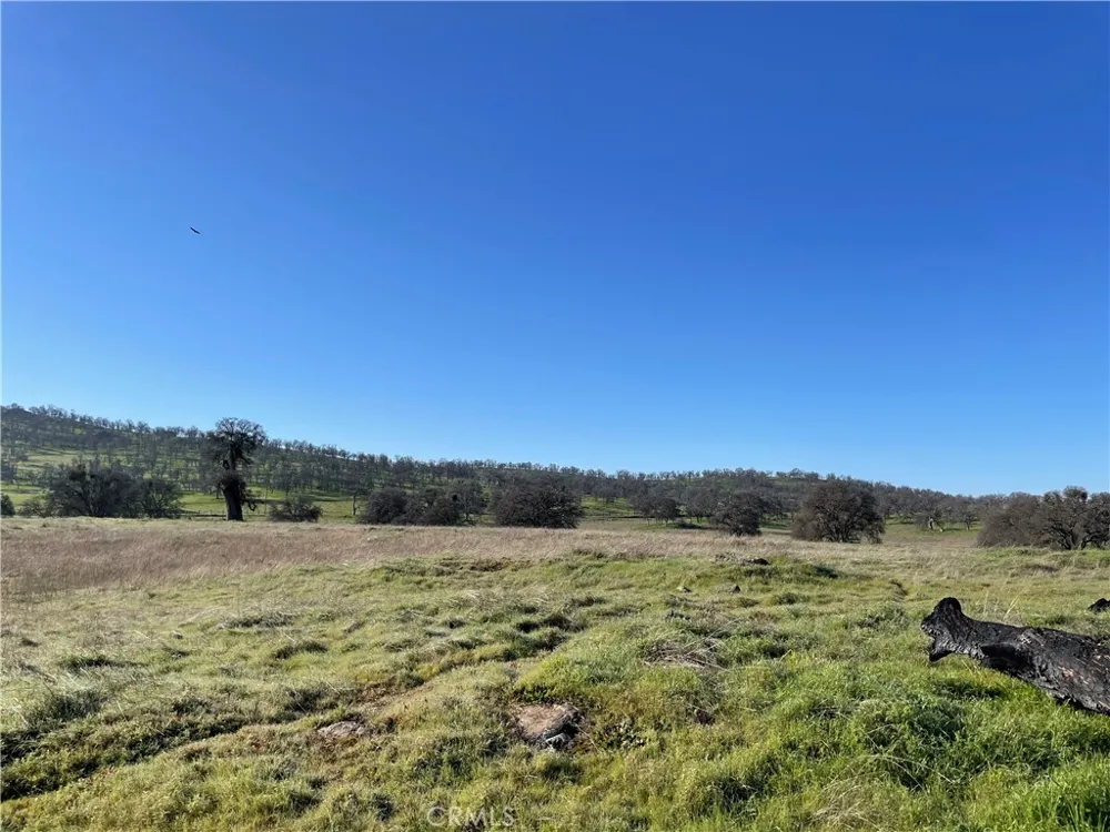 2187 Tinkers Penny Catheys Valley, CA 95306