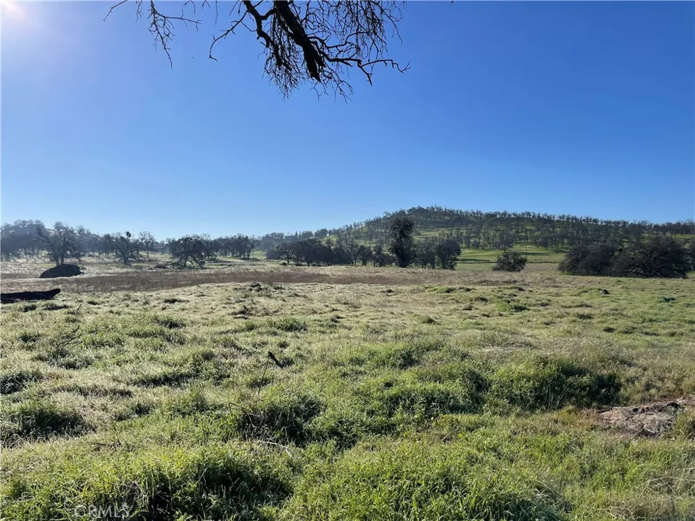 2187 Tinkers Penny Catheys Valley, CA 95306