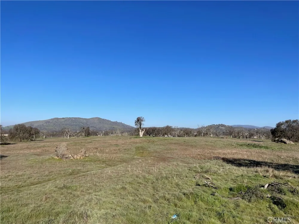 2187 Tinkers Penny Catheys Valley, CA 95306