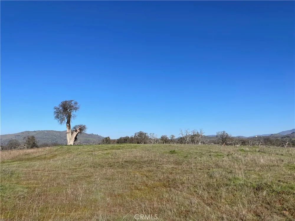 2187 Tinkers Penny Catheys Valley, CA 95306