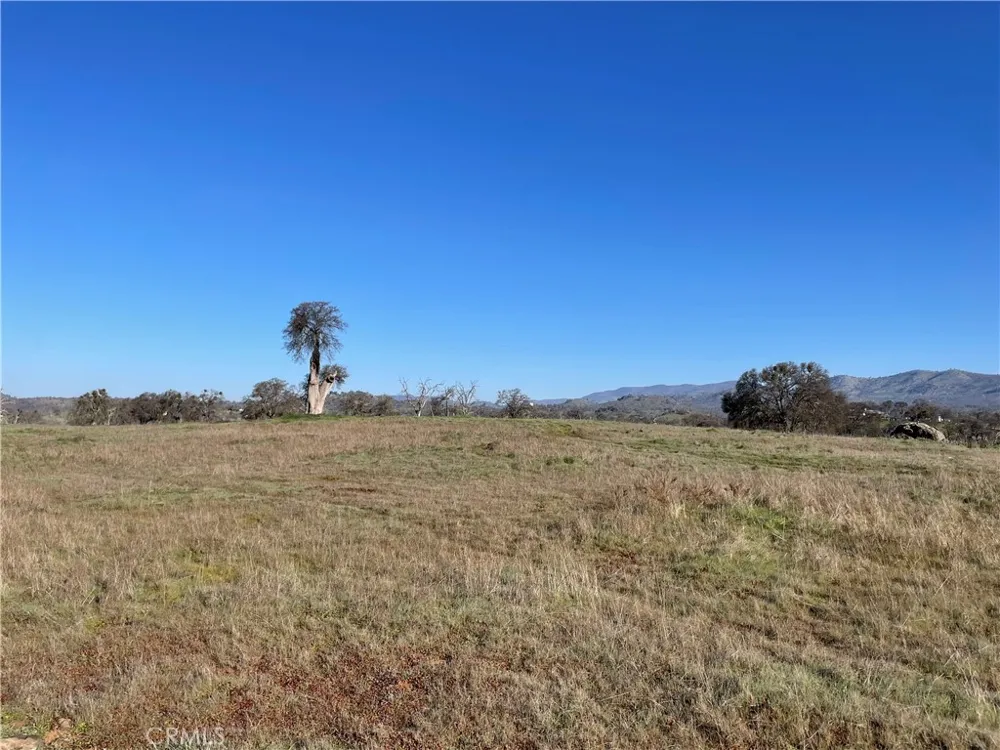 2187 Tinkers Penny Catheys Valley, CA 95306