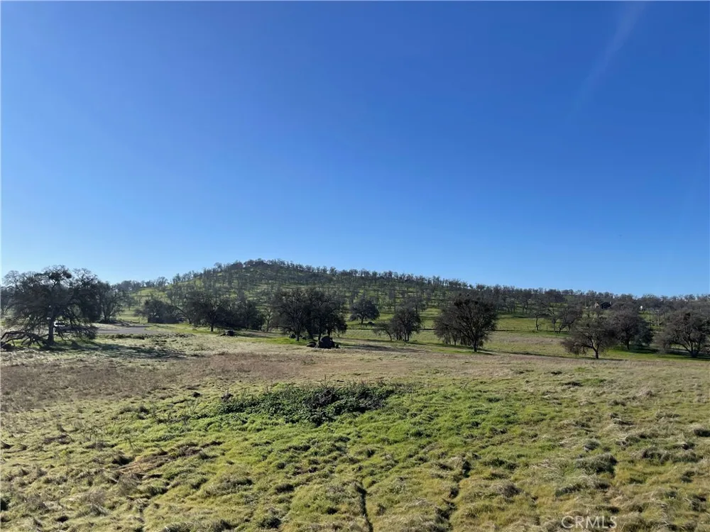 2187 Tinkers Penny Catheys Valley, CA 95306