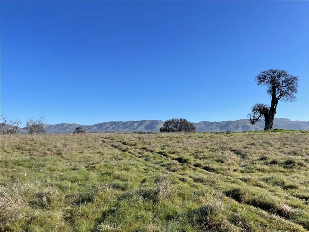 2187 Tinkers Penny Catheys Valley, CA 95306