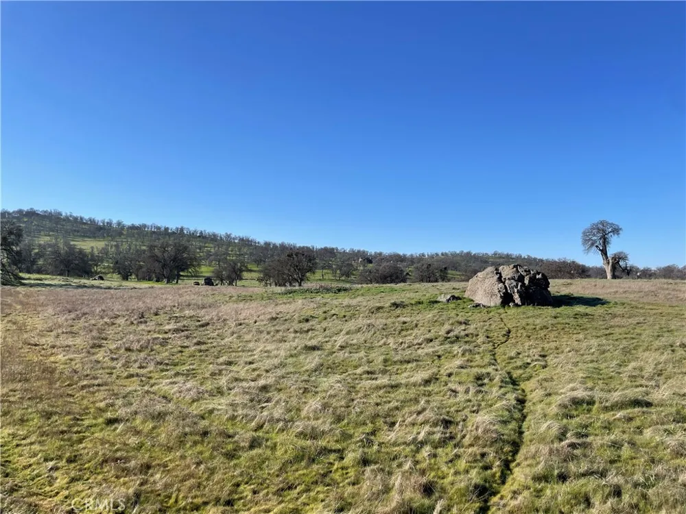 2187 Tinkers Penny Catheys Valley, CA 95306