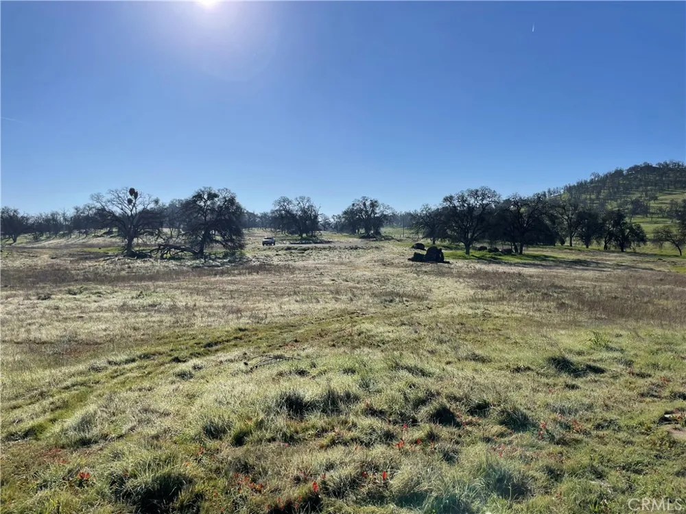 2187 Tinkers Penny Catheys Valley, CA 95306