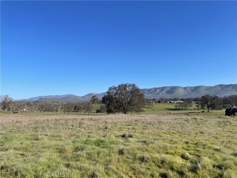 2187 Tinkers Penny Catheys Valley, CA 95306
