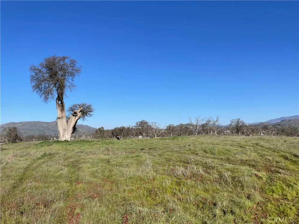 2187 Tinkers Penny Catheys Valley, CA 95306