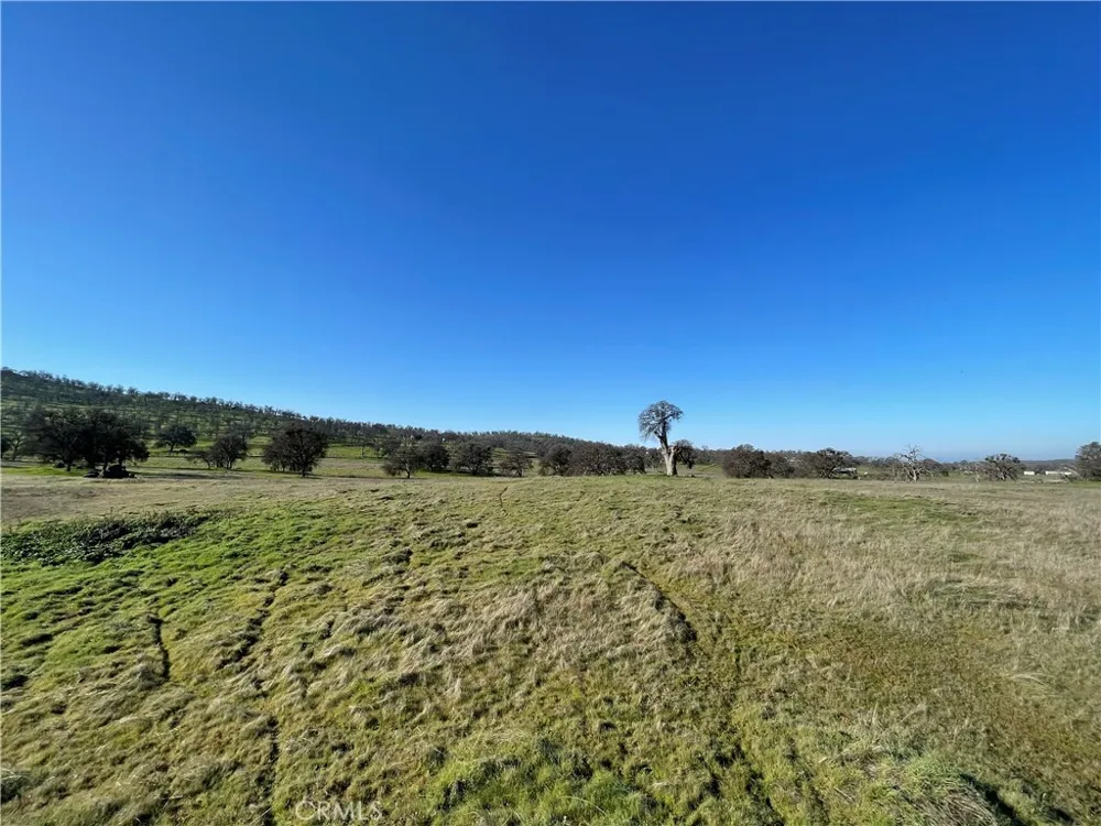 2187 Tinkers Penny Catheys Valley, CA 95306