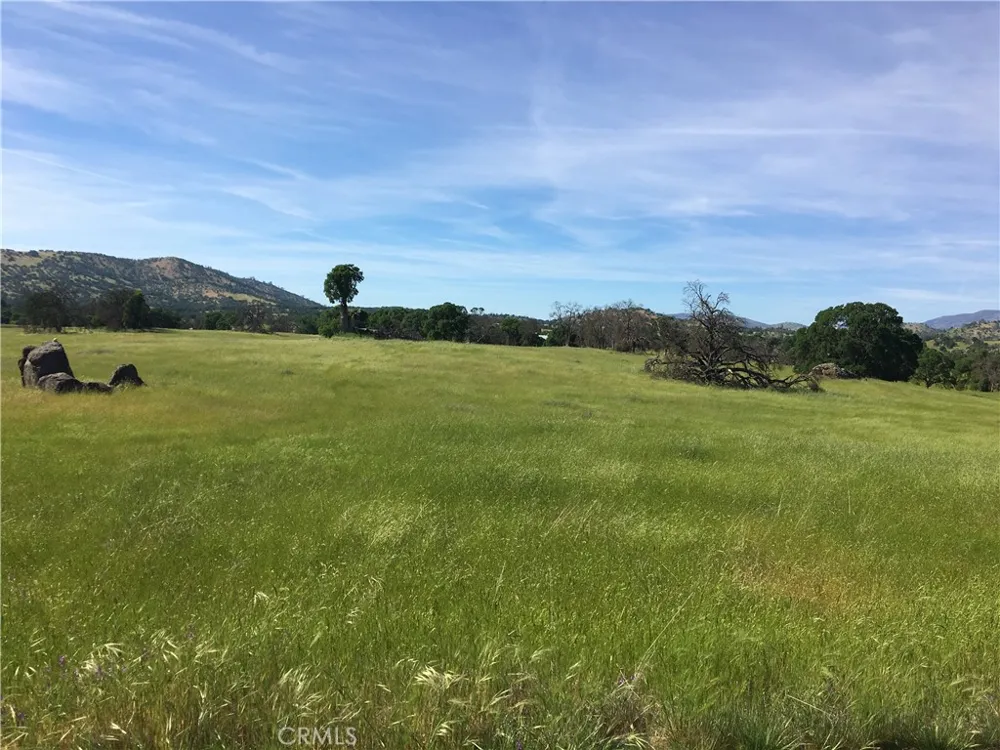 2187 Tinkers Penny Catheys Valley, CA 95306