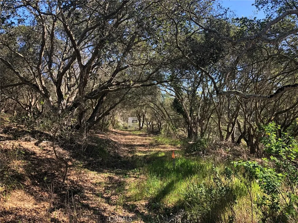 221 Tucker Road Royal Oaks, CA 95076