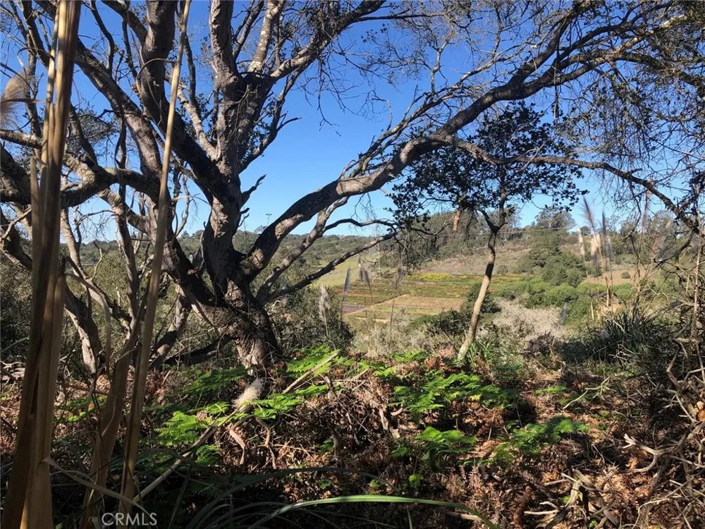 221 Tucker Road Royal Oaks, CA 95076