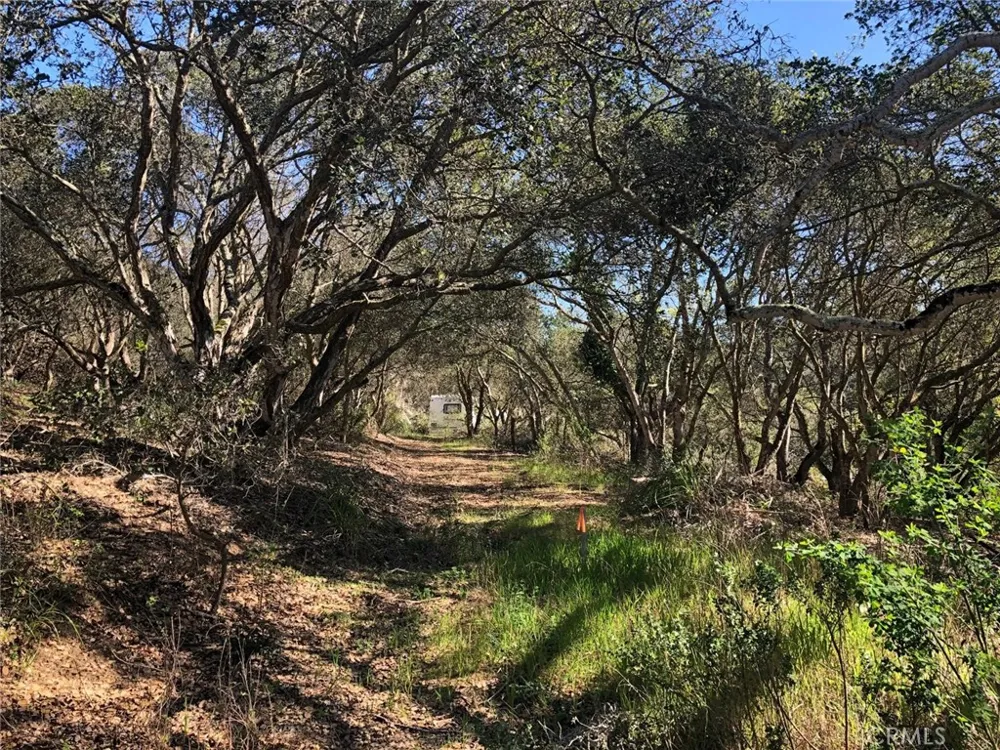 221 Tucker Road Royal Oaks, CA 95076