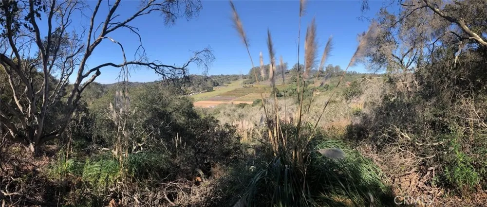 221 Tucker Road Royal Oaks, CA 95076