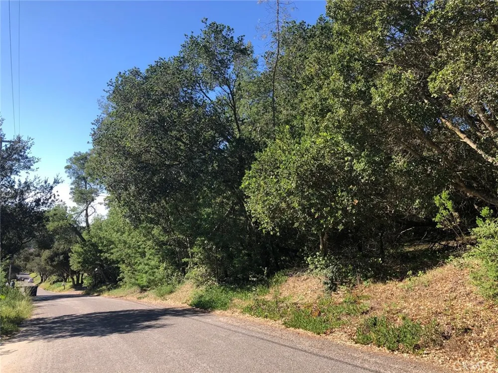 221 Tucker Road Royal Oaks, CA 95076