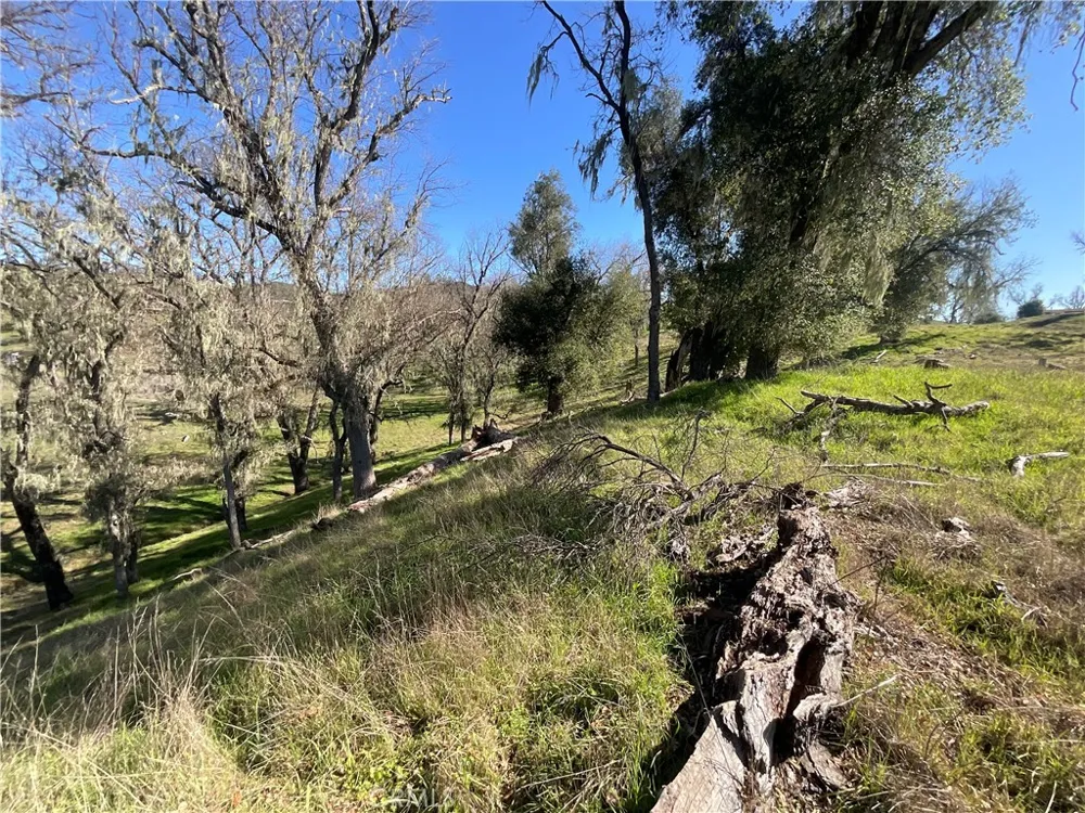 49253 Sapaque Bradley, CA 93426
