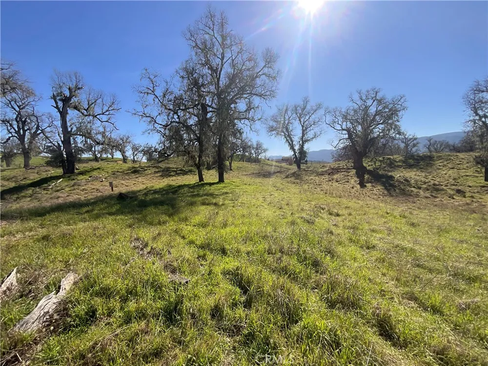 49253 Sapaque Bradley, CA 93426