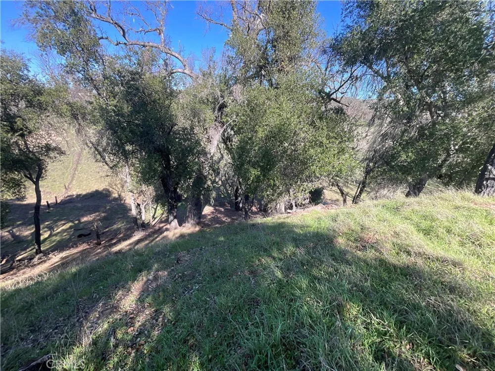 49253 Sapaque Bradley, CA 93426