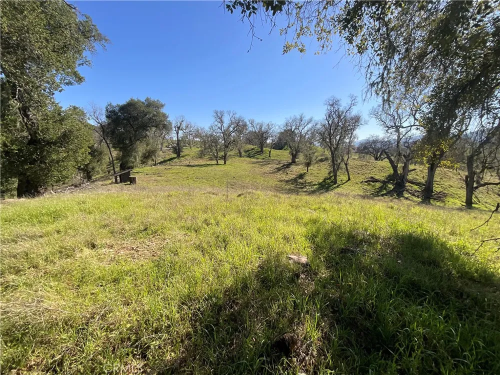 49253 Sapaque Bradley, CA 93426