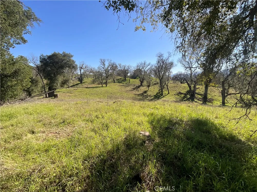 49253 Sapaque Bradley, CA 93426