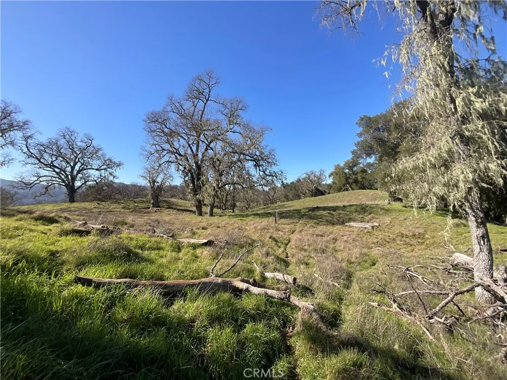 49253 Sapaque Bradley, CA 93426